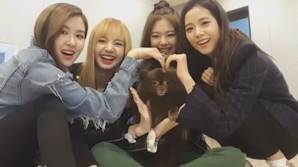 Blackpink Jisoo Jennie Rose Lisa and kuma vlive