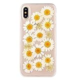 Shopping_Shop2000 TPU Case Handmade Daisy Floral Real Pressed Dried Flowers TPU Gel Clear Rubber Skin Silicone Protective Plastic Soft Back Phone Case Cover Compatible with iPhone X (#35)