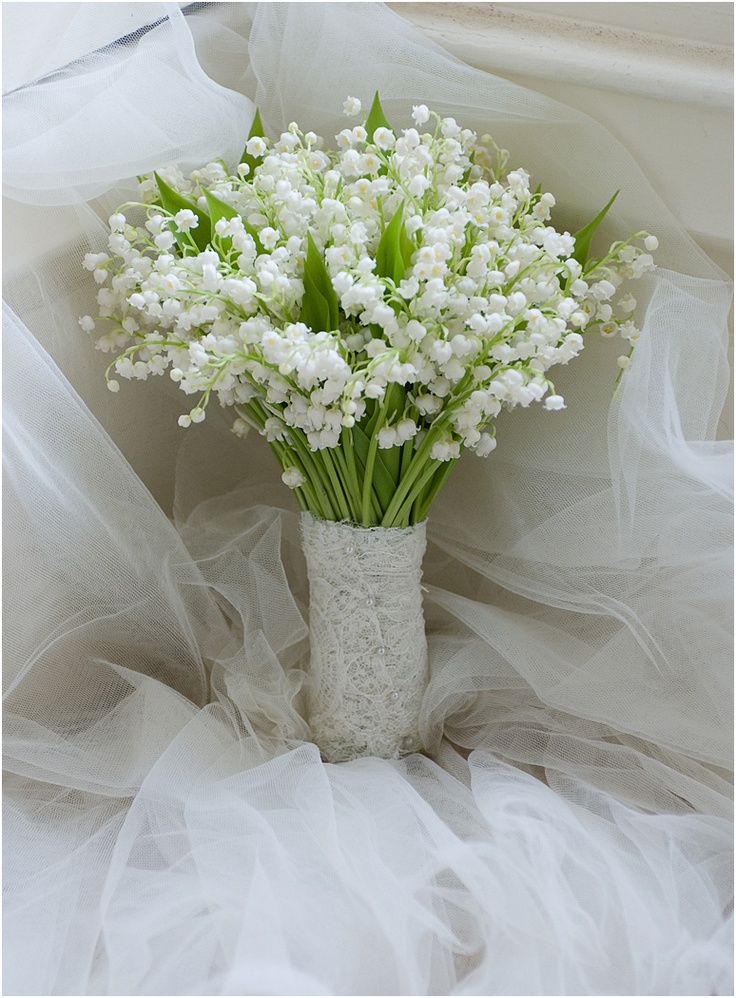 Blackpink Jisoo Loves Lily of The Valley flowers