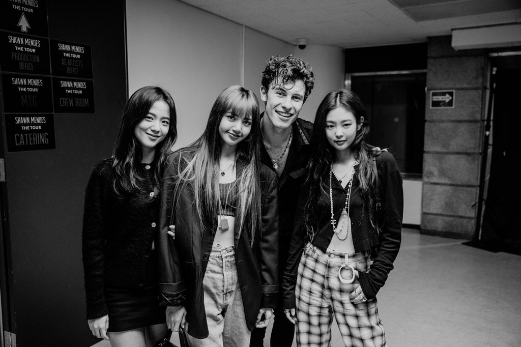 Jisoo, Jennie and Lisa Are Featured in Shawn Mendes Tour Video